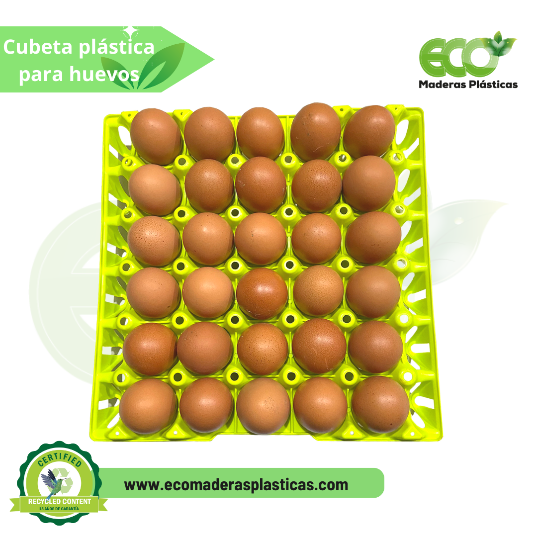 Cubetas y estuches plásticos eco-amigables para huevos